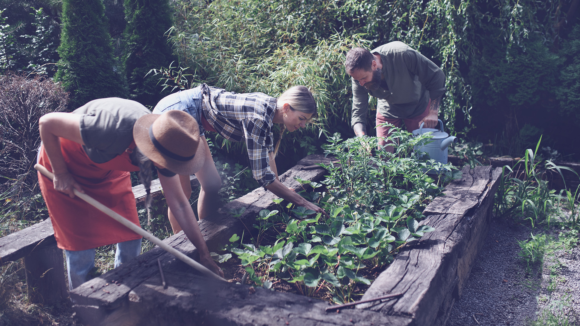 horta comunitária - horta comunitária em condomínio - horta em condomínio - como fazer horta
